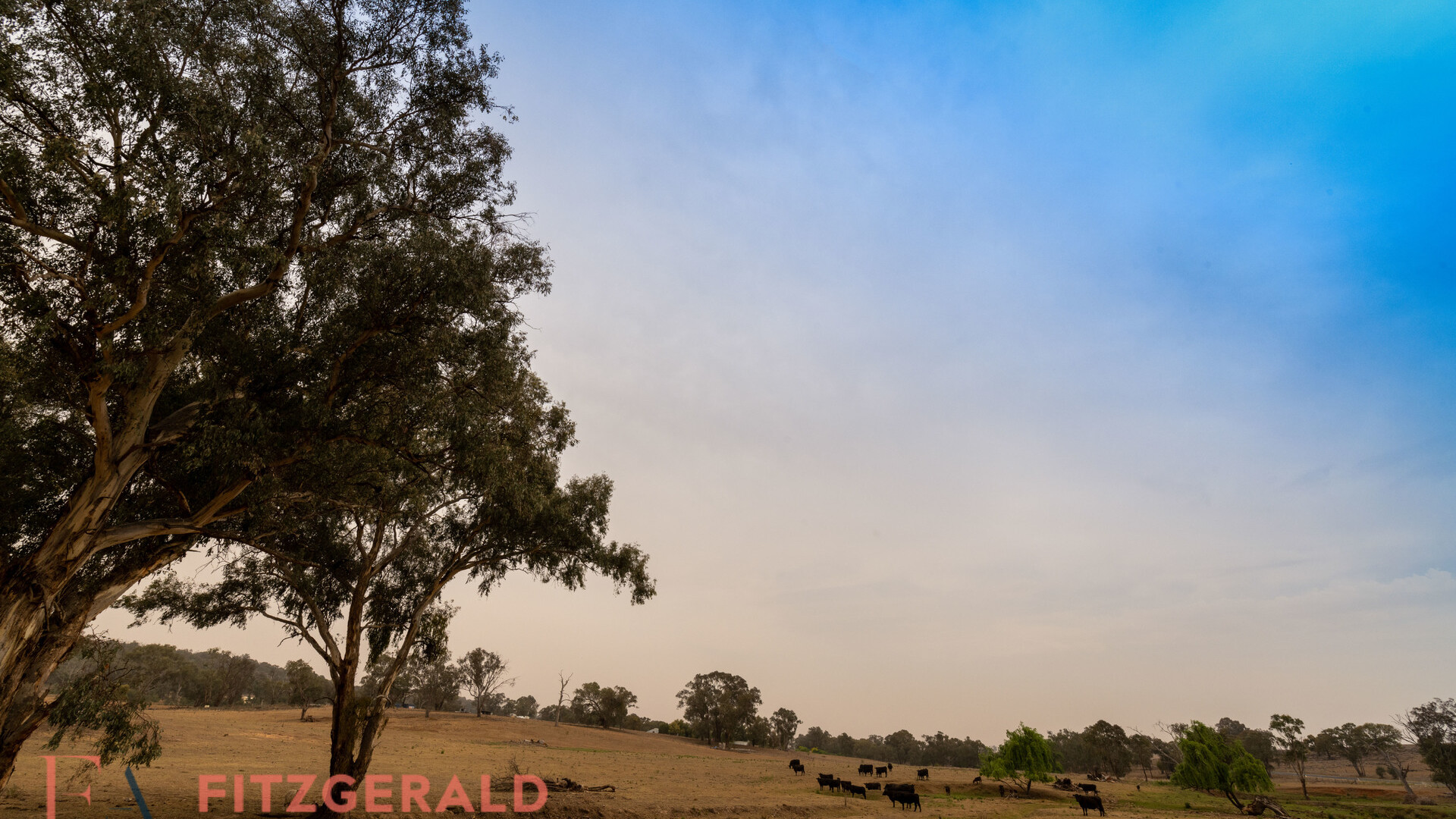 1179 Peabody Road, Molong NSW 2866 - photo 7
