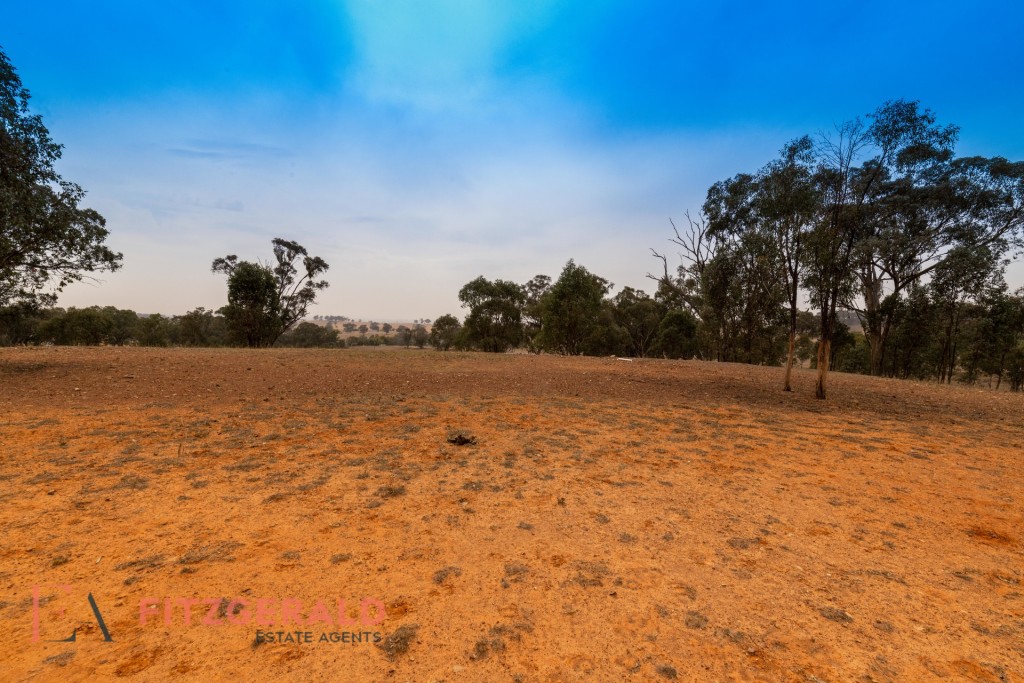 1179 Peabody Road, Molong NSW 2866 - photo 8