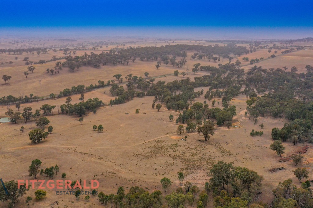 1179 Peabody Road, Molong NSW 2866 - photo 9