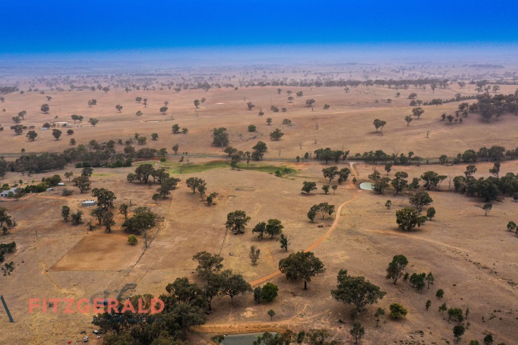 1179 Peabody Road, Molong NSW 2866 - photo 10