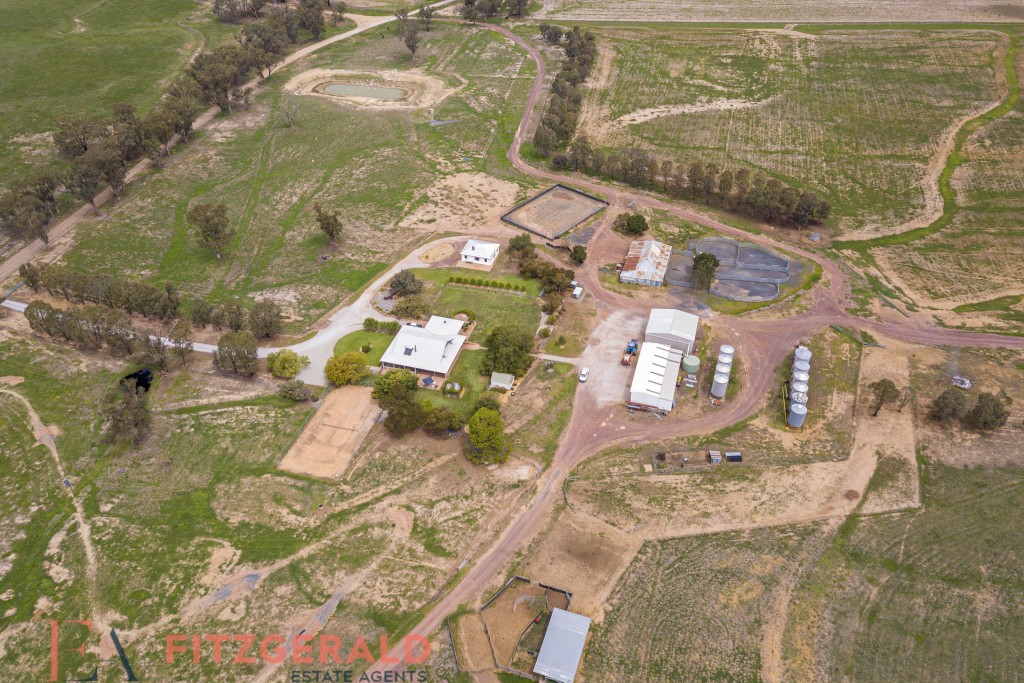 Norah Creek Road, Molong NSW 2866 - McGrath Central West