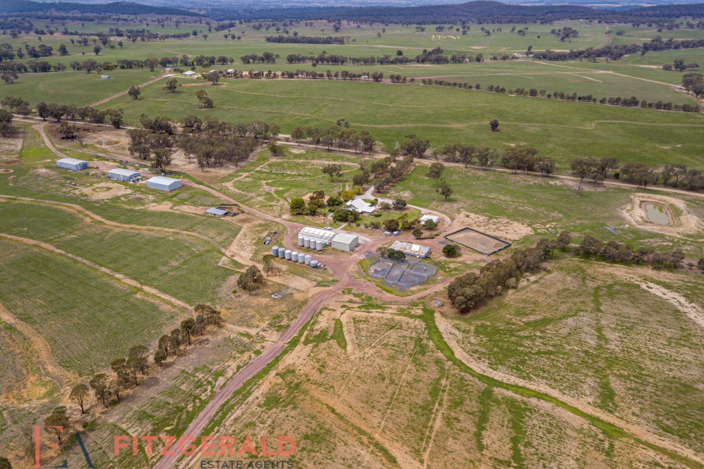Norah Creek Road, Molong NSW 2866 - photo 15