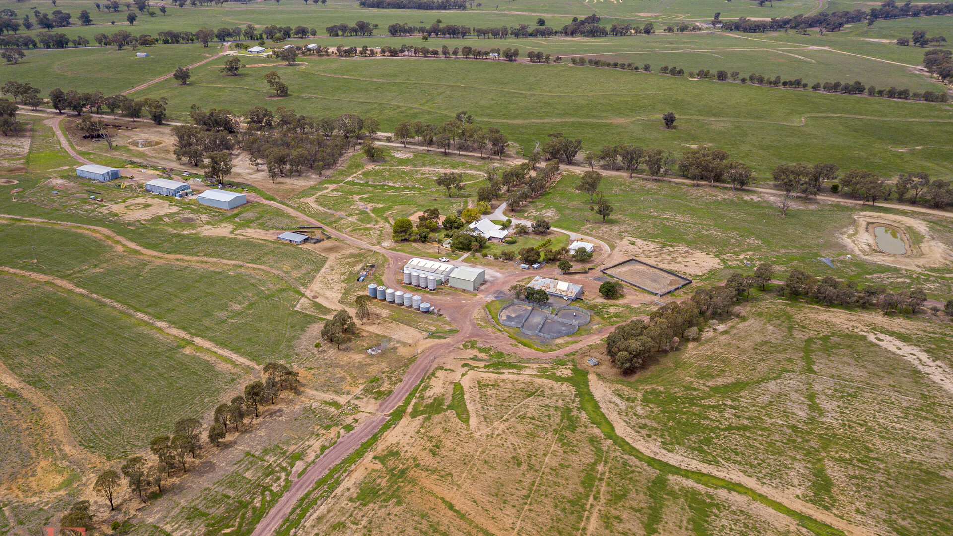 Norah Creek Road, Molong NSW 2866 - photo 15