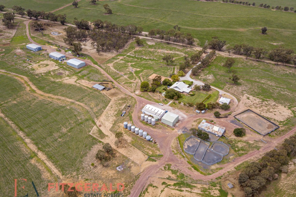 Norah Creek Road, Molong NSW 2866 - photo 16