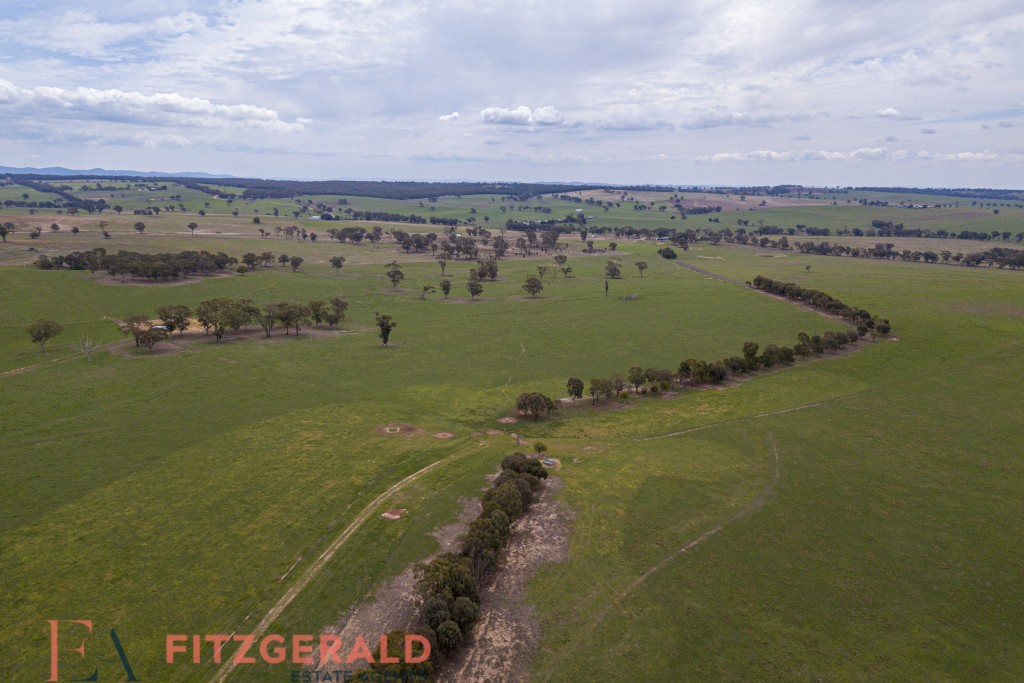 Norah Creek Road, Molong NSW 2866 - photo 18