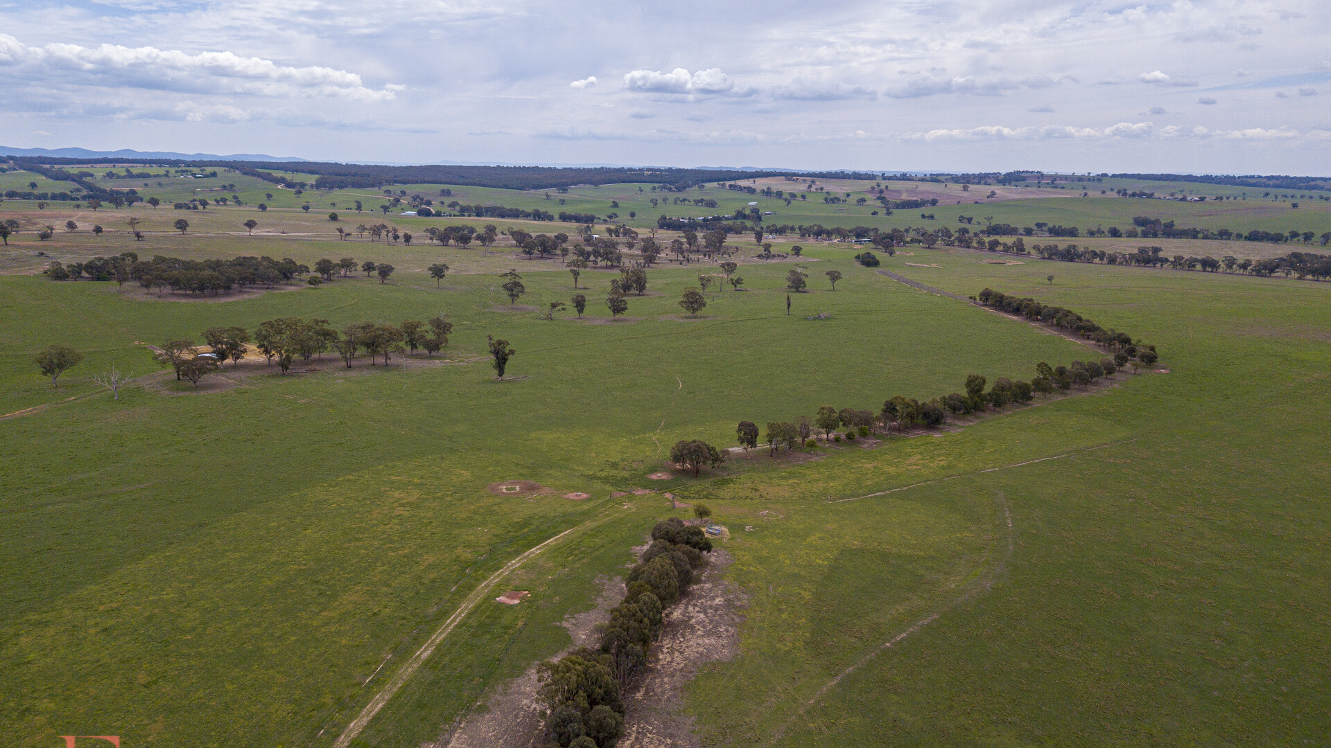 Norah Creek Road, Molong NSW 2866 - photo 18