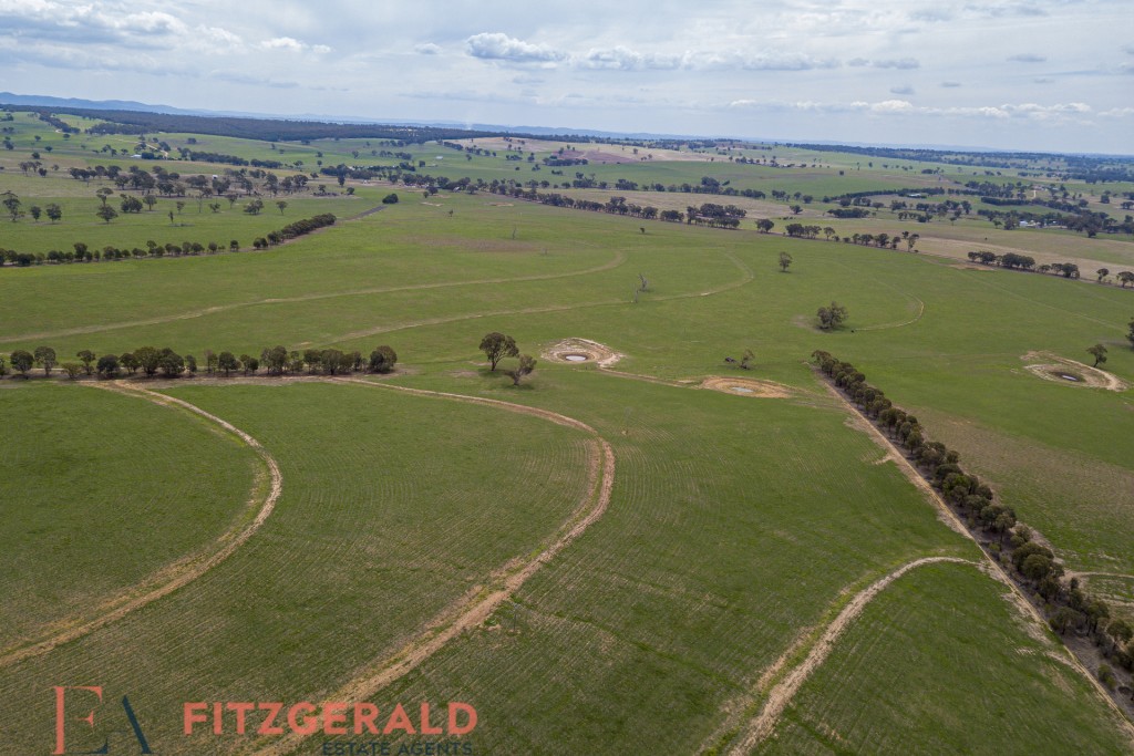 Norah Creek Road, Molong NSW 2866 - photo 20