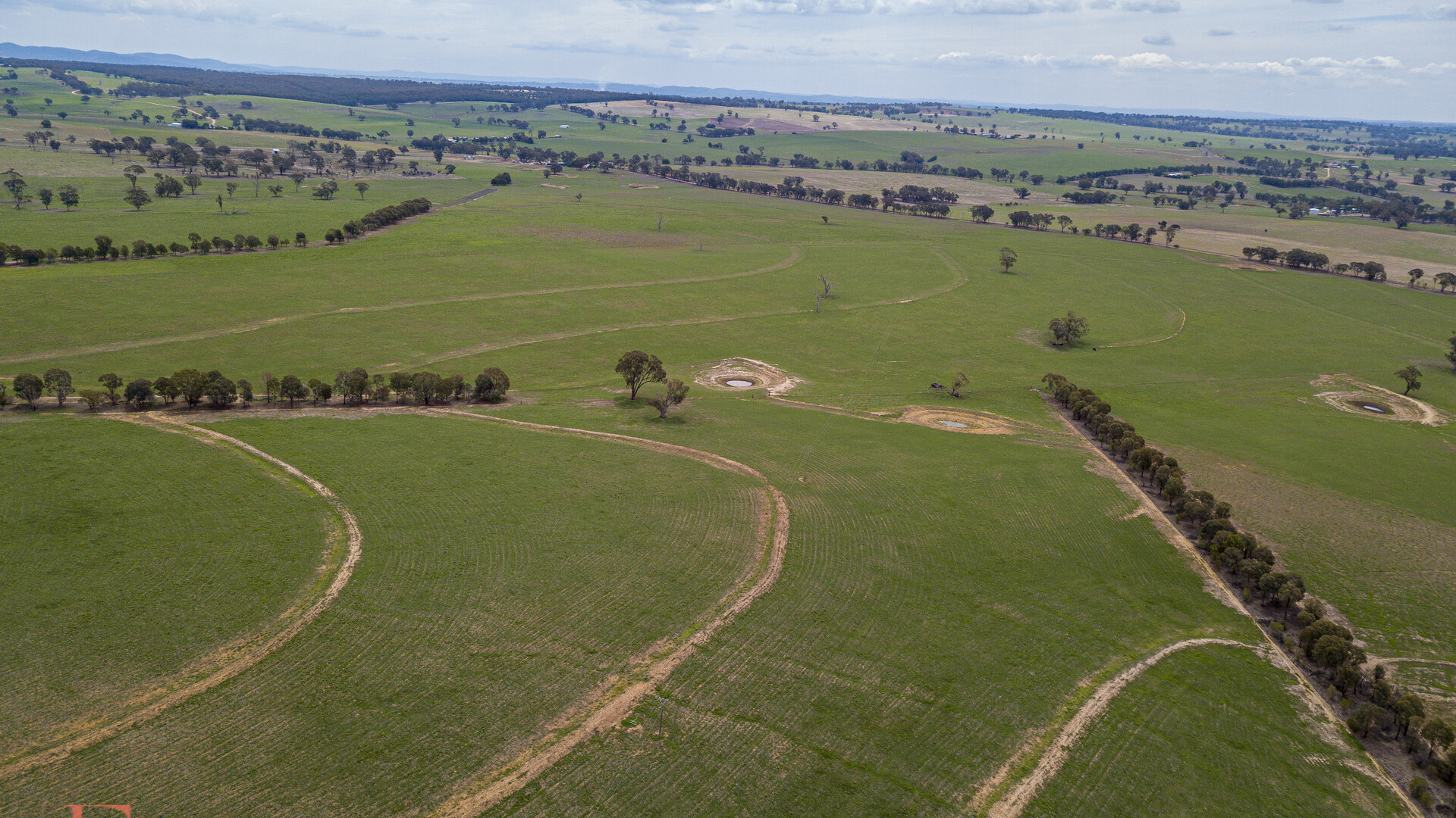 Norah Creek Road, Molong NSW 2866 - photo 20