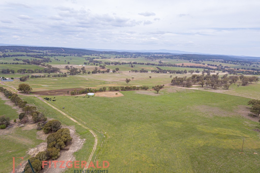 Norah Creek Road, Molong NSW 2866 - photo 21