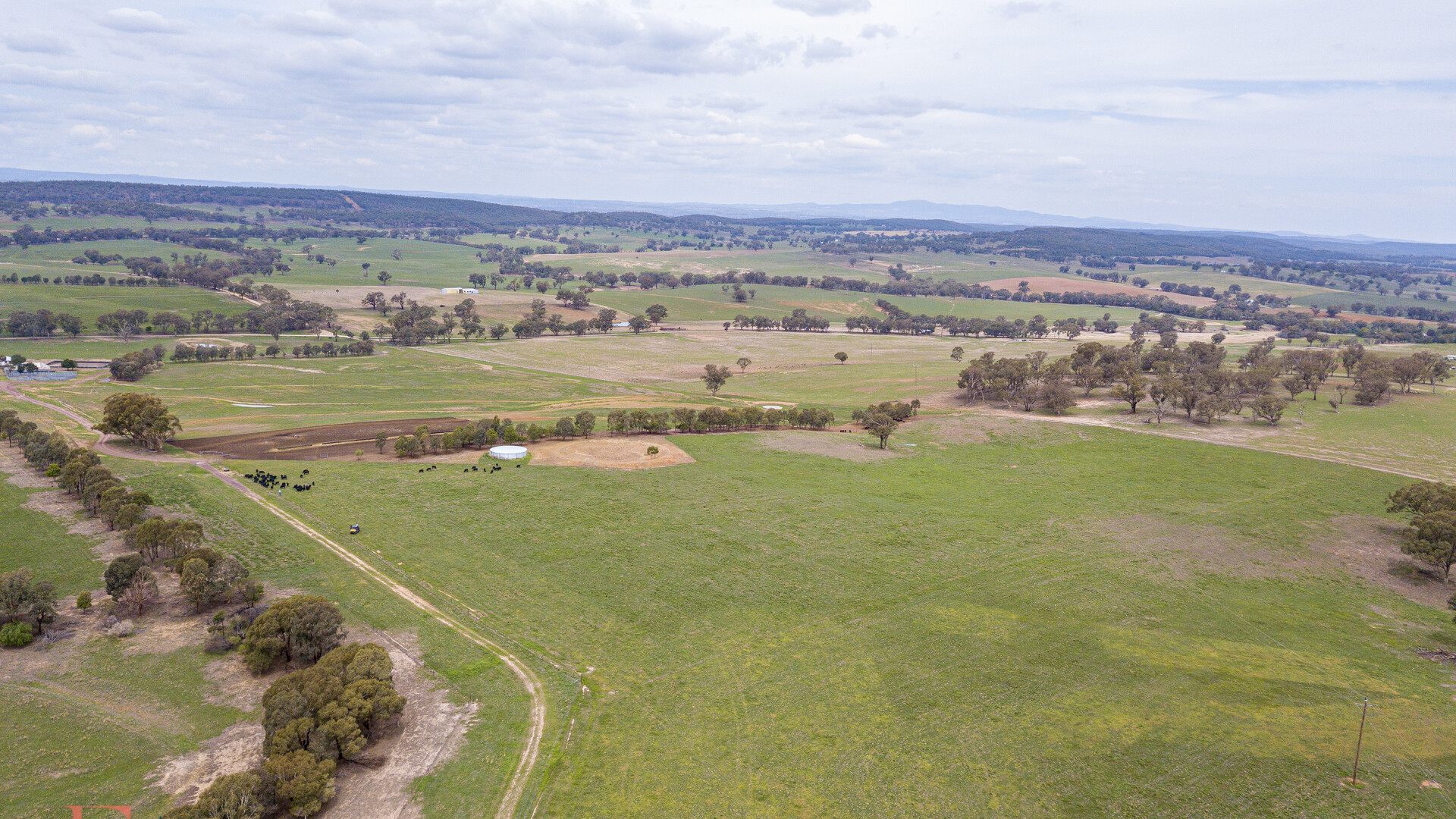 Norah Creek Road, Molong NSW 2866 - photo 21