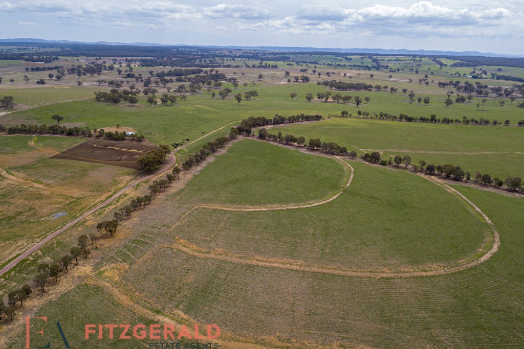 Norah Creek Road, Molong NSW 2866 - photo 22