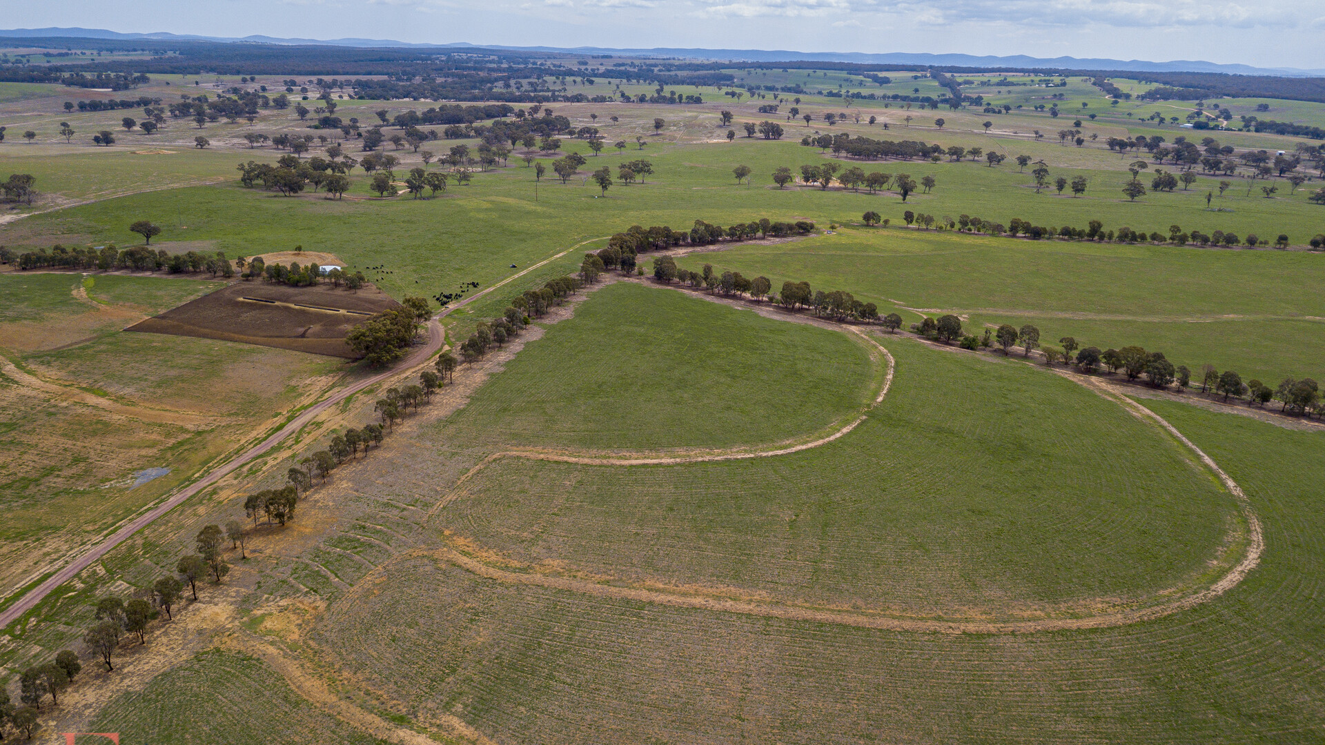 Norah Creek Road, Molong NSW 2866 - photo 22