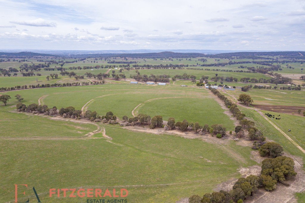 Norah Creek Road, Molong NSW 2866 - photo 23