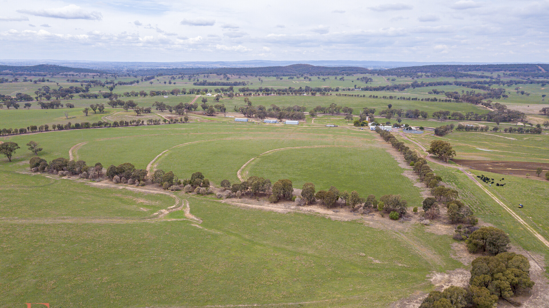 Norah Creek Road, Molong NSW 2866 - photo 23