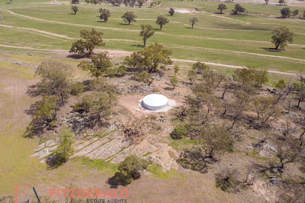 Norah Creek Road, Molong NSW 2866 - photo 25