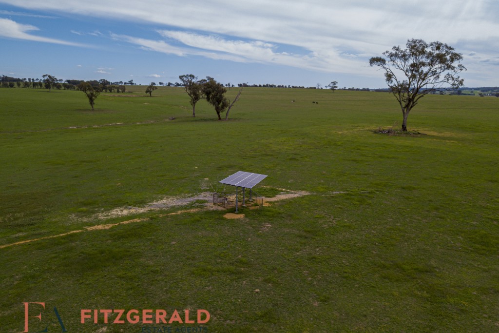 Norah Creek Road, Molong NSW 2866 - photo 28
