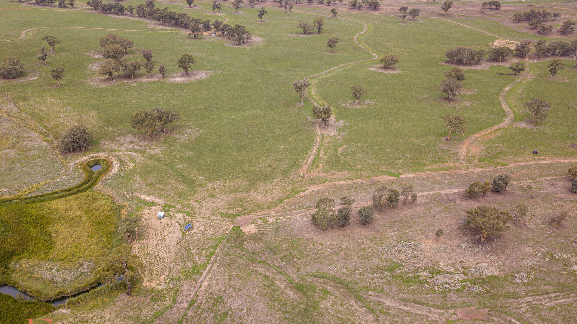 Norah Creek Road, Molong NSW 2866 - photo 29