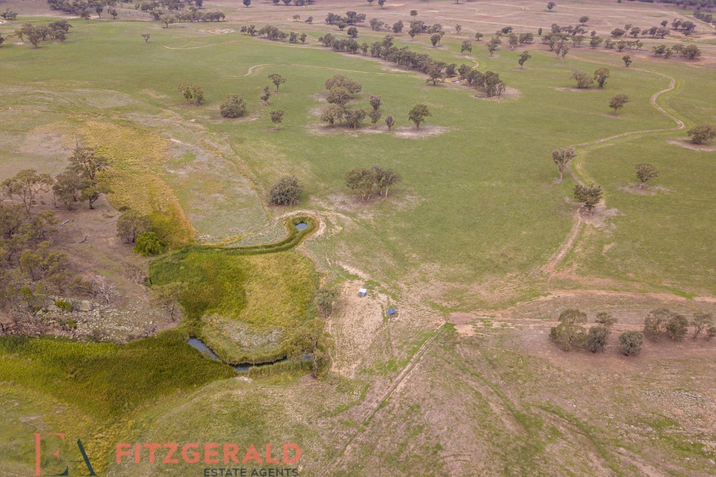 Norah Creek Road, Molong NSW 2866 - photo 30