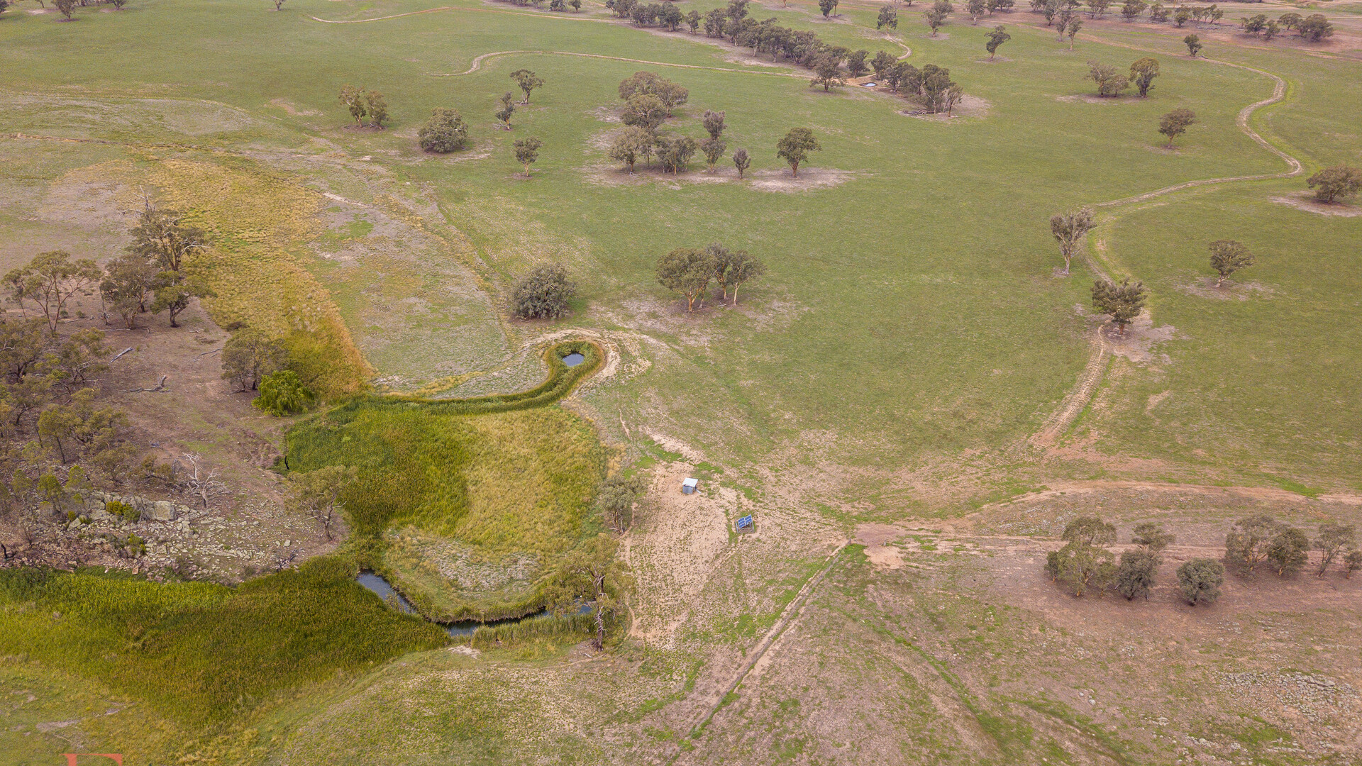 Norah Creek Road, Molong NSW 2866 - photo 30