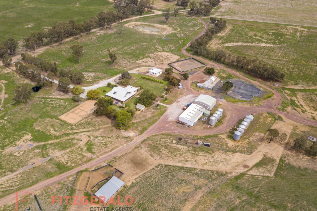 Norah Creek Road, Molong NSW 2866 - photo 34
