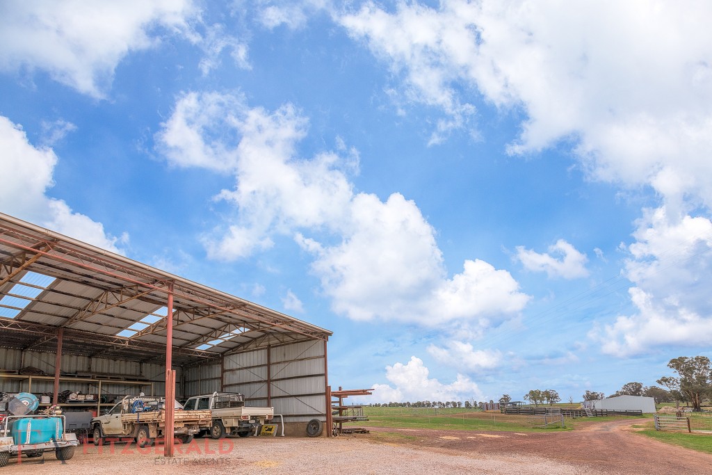 Norah Creek Road, Molong NSW 2866 - photo 5