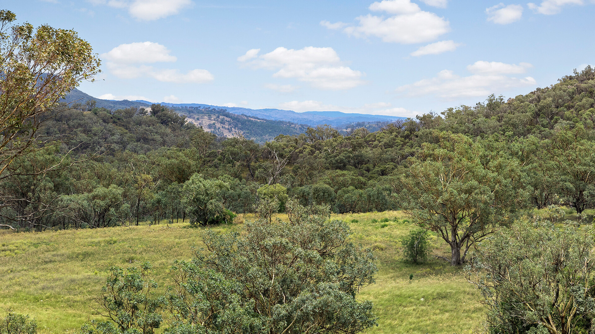 220 Wuuluman Road, Wellington NSW 2820 - photo 15