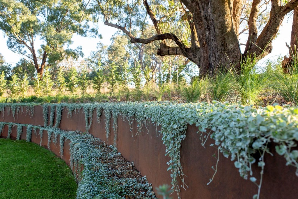 123 Bradleys Road, Borenore NSW 2800 - photo 9
