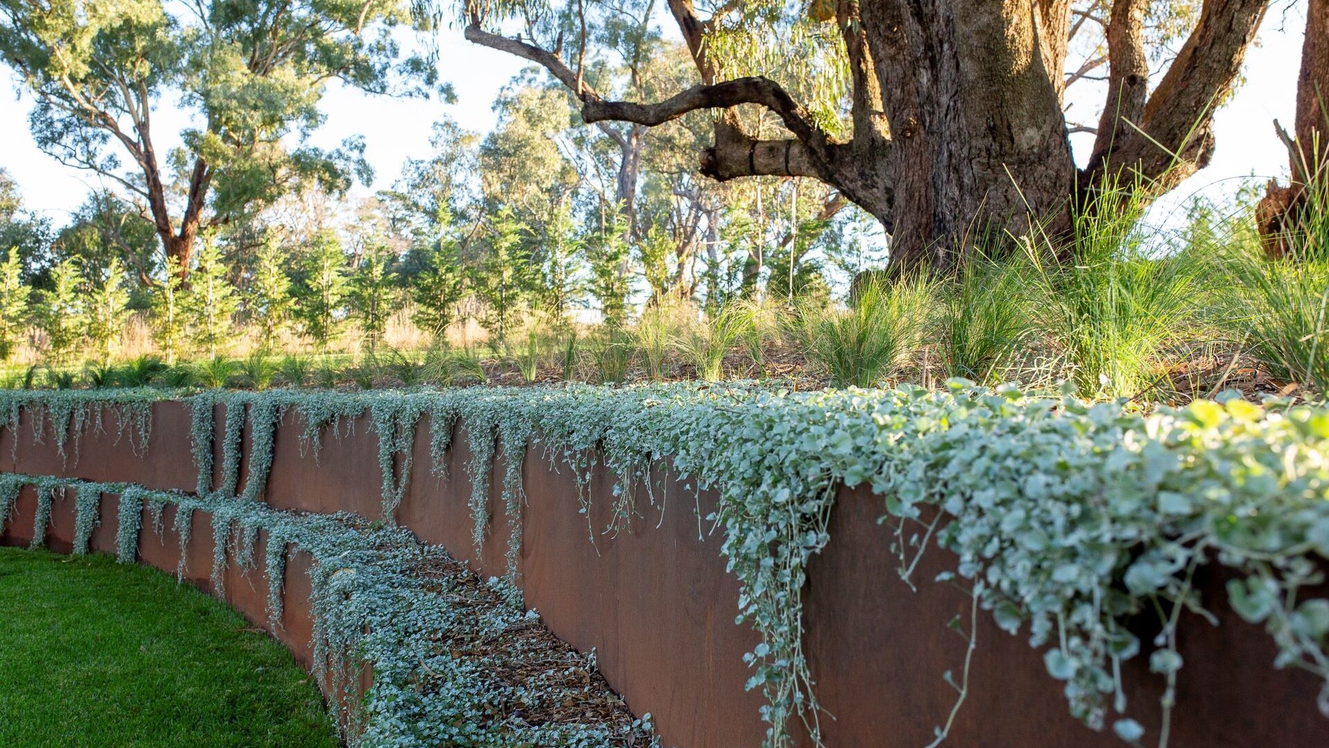 123 Bradleys Road, Borenore NSW 2800 - photo 9
