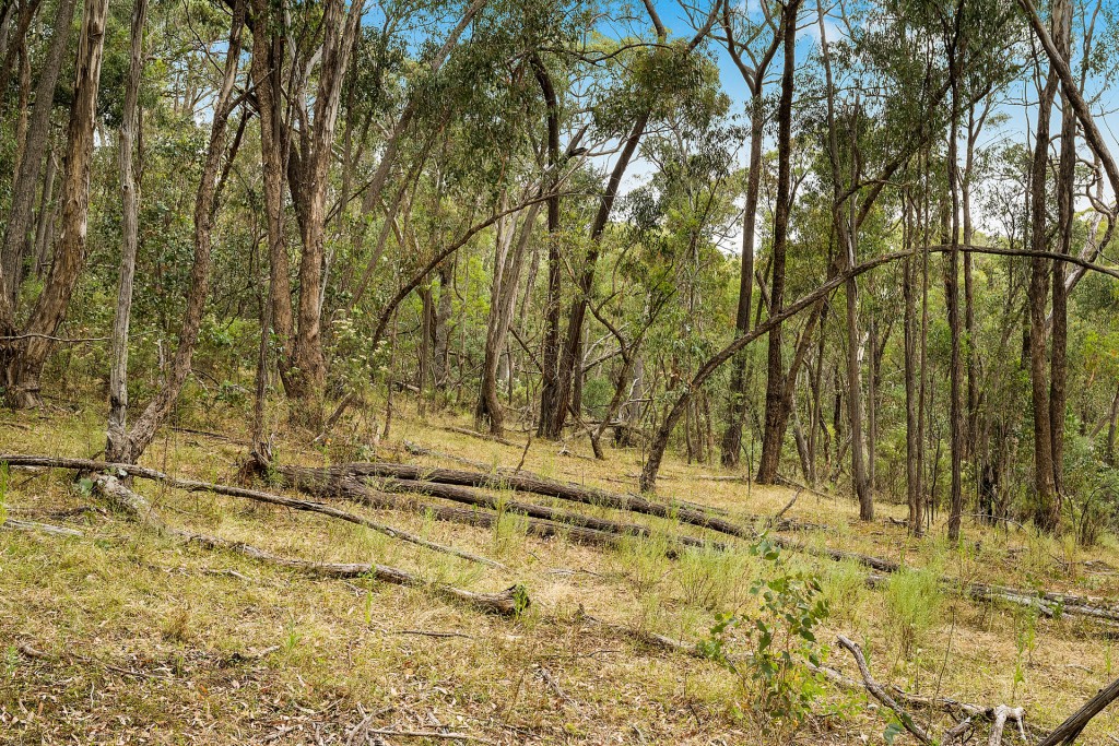 2683 Cargo Road, Cargo NSW 2800 - photo 2