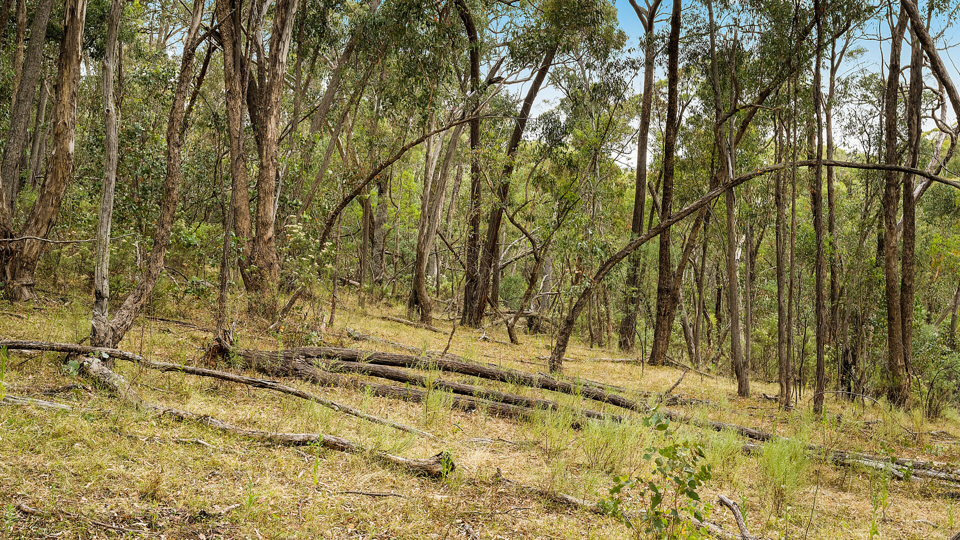 2683 Cargo Road, Cargo NSW 2800 - photo 2