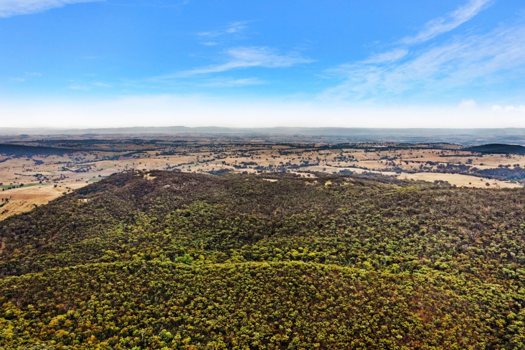 2683 Cargo Road, Cargo NSW 2800 - photo 11