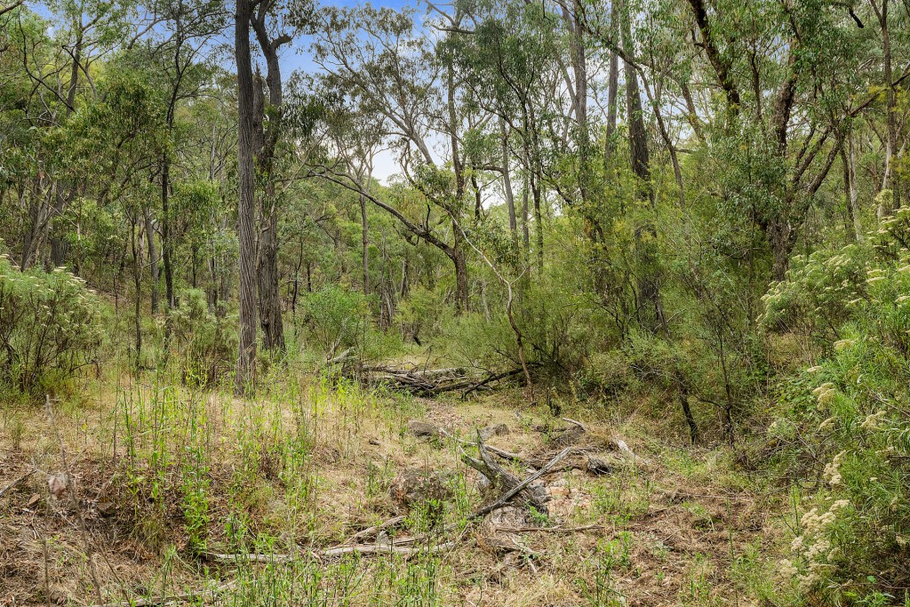 2683 Cargo Road, Cargo NSW 2800 - McGrath Central West