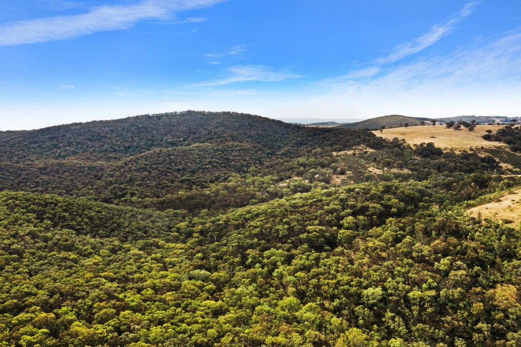 2683 Cargo Road, Cargo NSW 2800 - photo 12