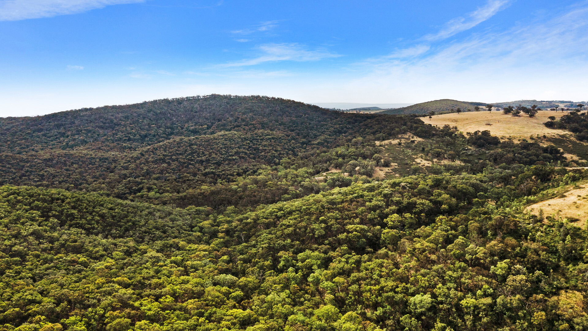 2683 Cargo Road, Cargo NSW 2800 - photo 12