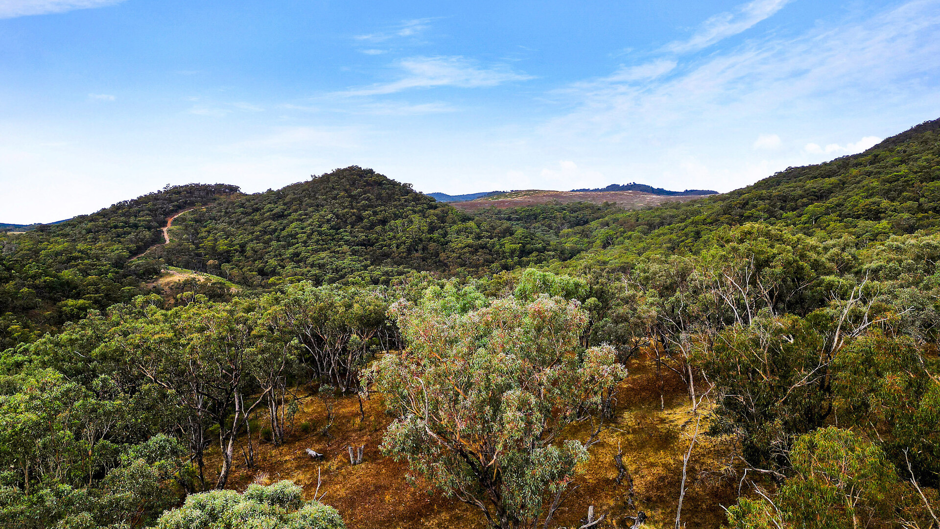 2683 Cargo Road, Cargo NSW 2800 - photo 13