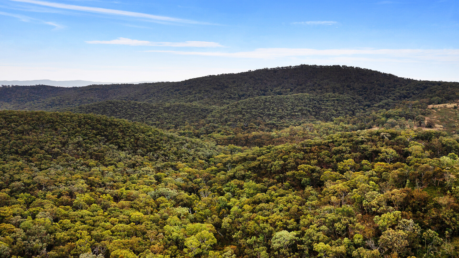 2683 Cargo Road, Cargo NSW 2800 - photo 14