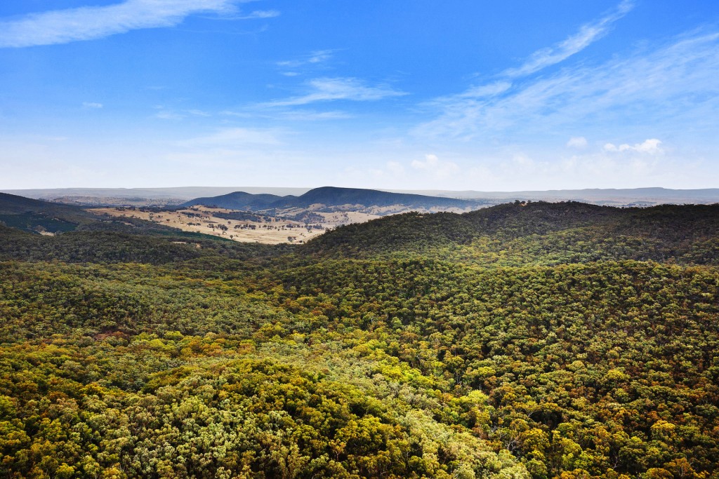 2683 Cargo Road, Cargo NSW 2800 - photo 16