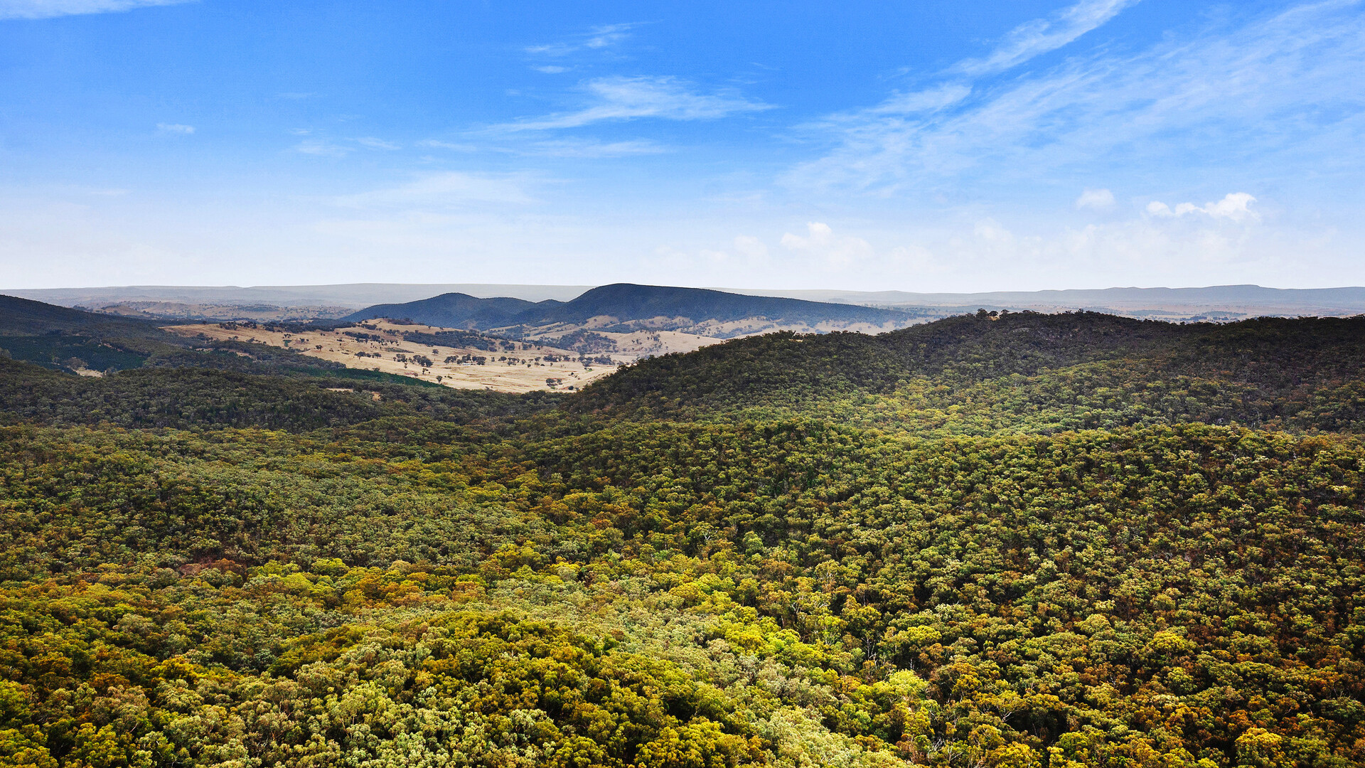 2683 Cargo Road, Cargo NSW 2800 - photo 16