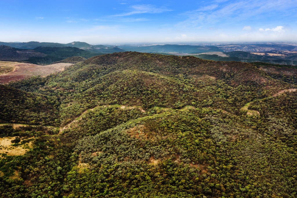 2683 Cargo Road, Cargo NSW 2800 - photo 18