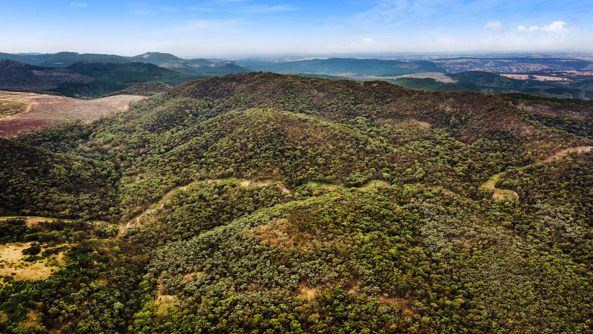2683 Cargo Road, Cargo NSW 2800 - photo 18