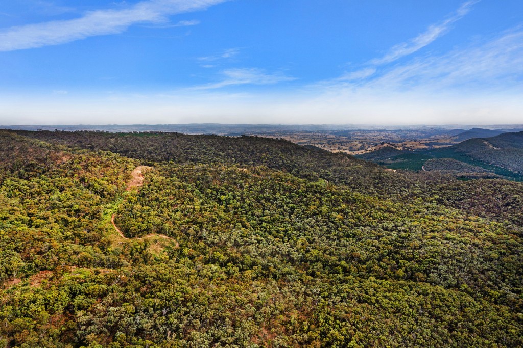 2683 Cargo Road, Cargo NSW 2800 - photo 19