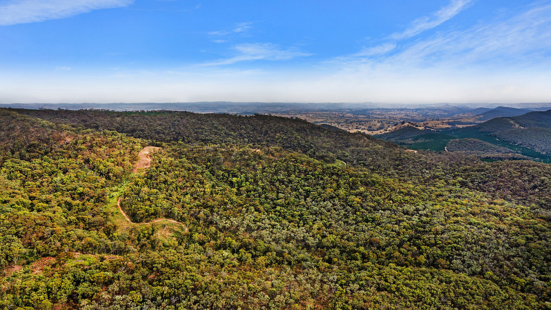 2683 Cargo Road, Cargo NSW 2800 - photo 19