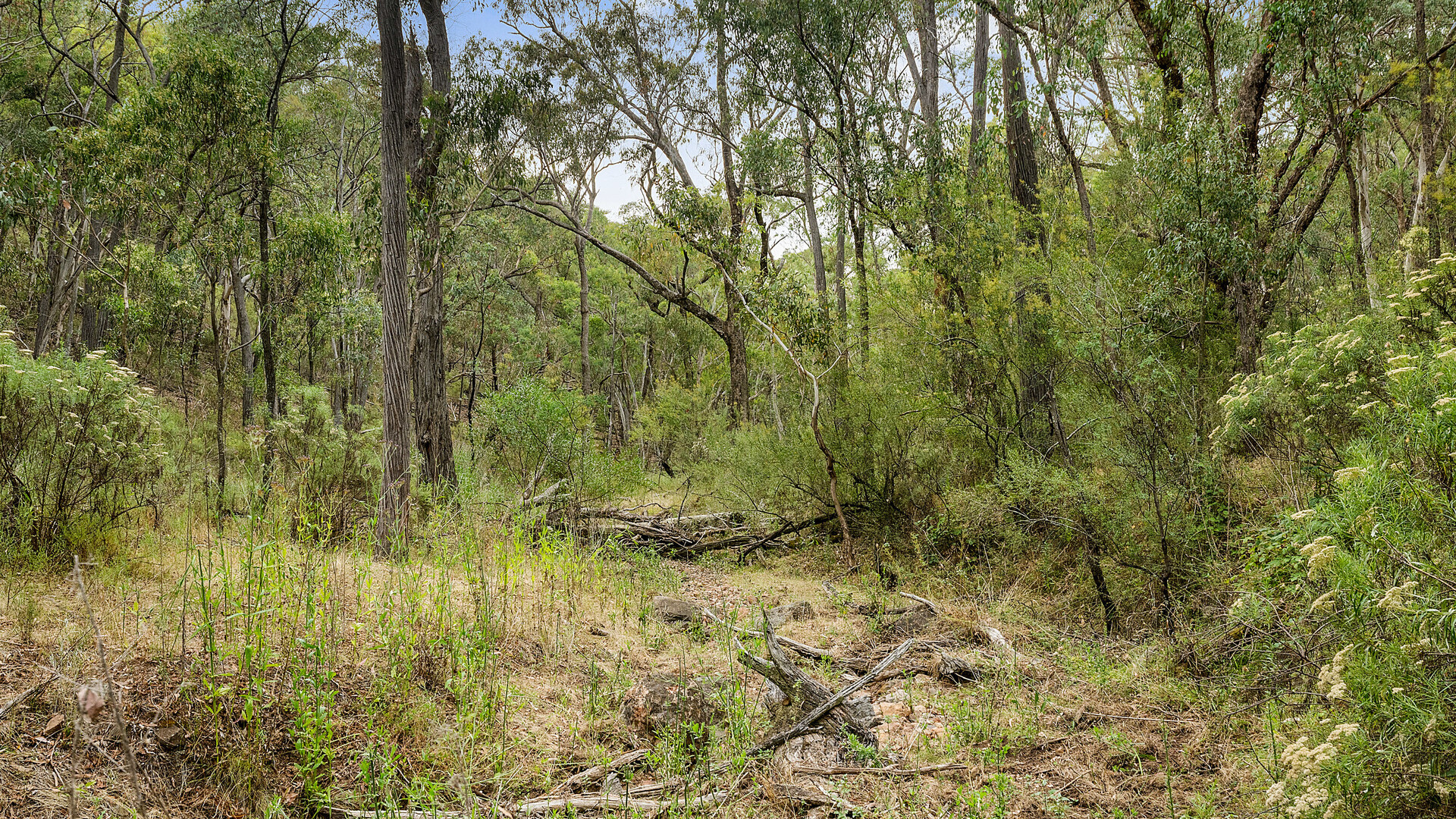 2683 Cargo Road, Cargo NSW 2800 - McGrath Central West