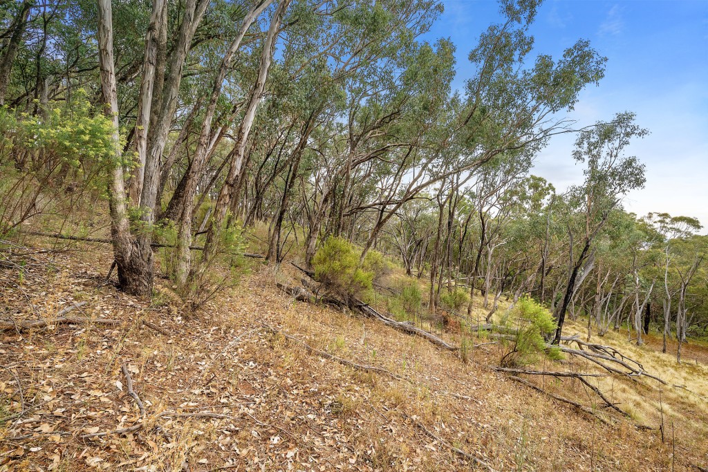 2683 Cargo Road, Cargo NSW 2800 - photo 3