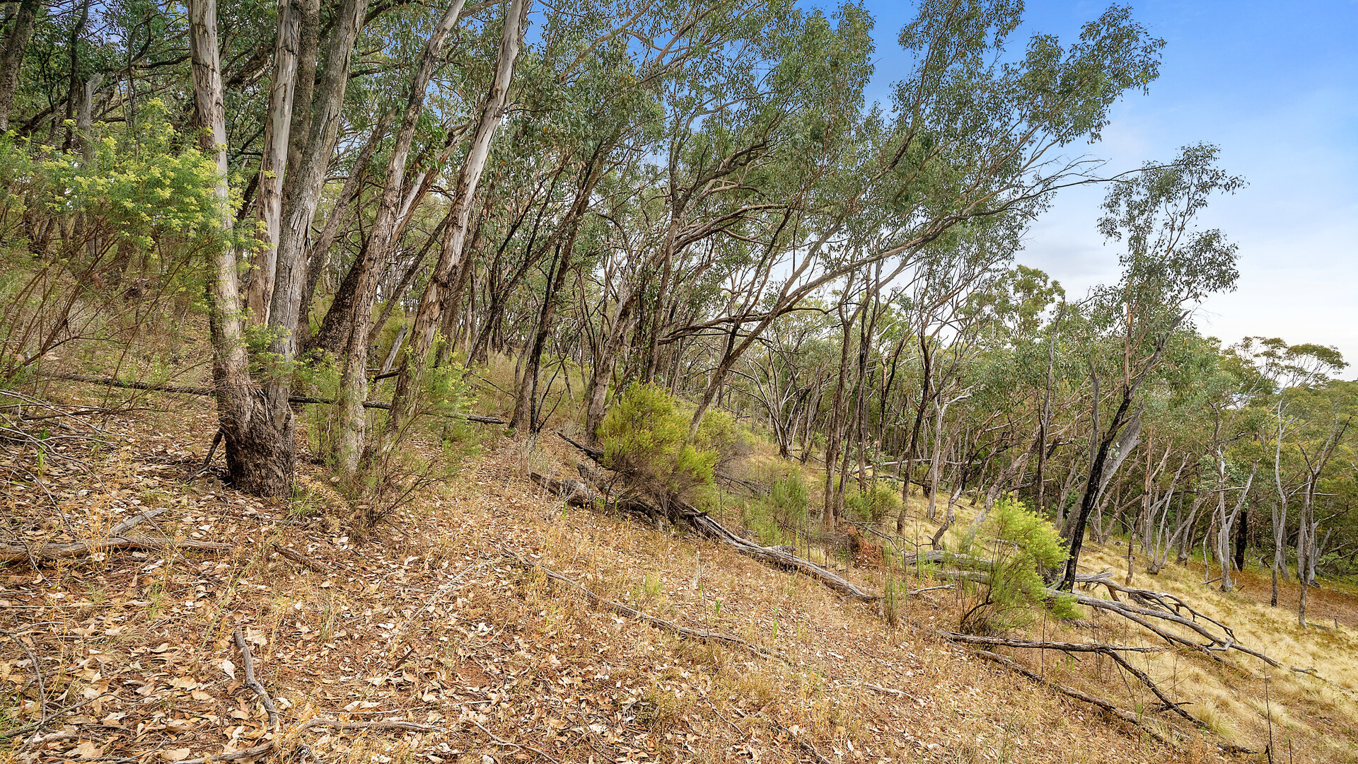 2683 Cargo Road, Cargo NSW 2800 - photo 3