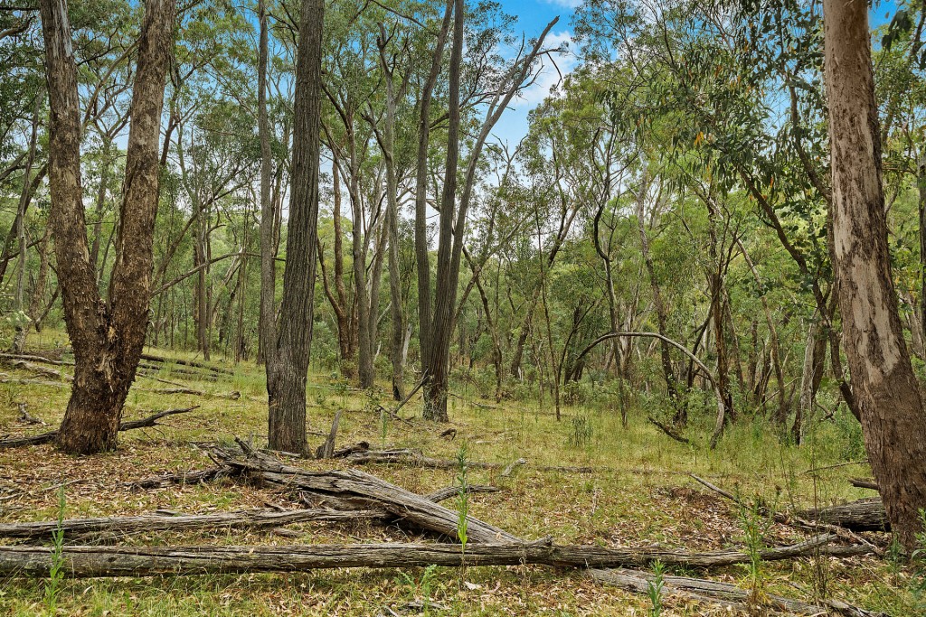 2683 Cargo Road, Cargo NSW 2800 - photo 4