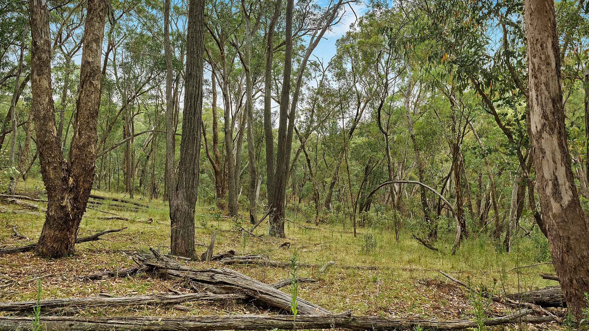 2683 Cargo Road, Cargo NSW 2800 - photo 4