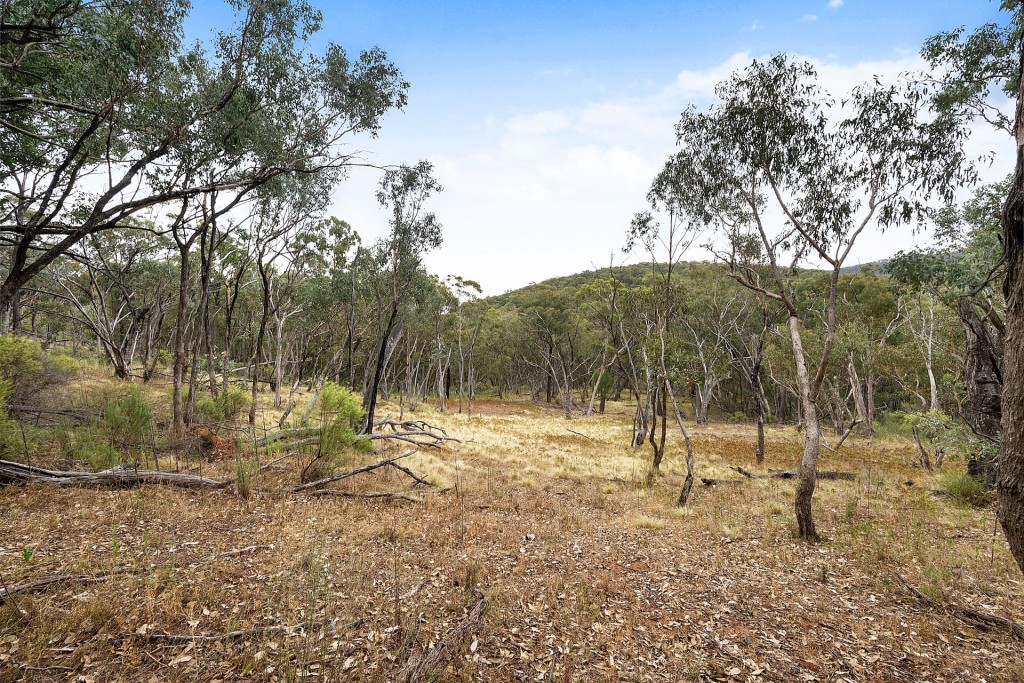 2683 Cargo Road, Cargo NSW 2800 - photo 5