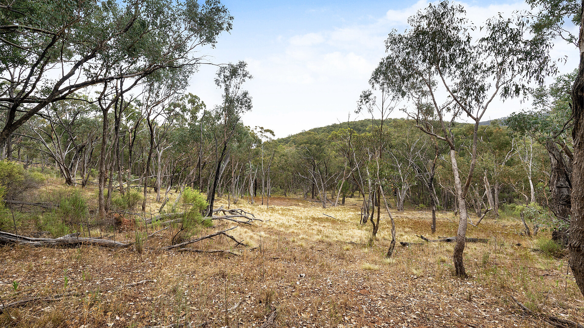 2683 Cargo Road, Cargo NSW 2800 - photo 5