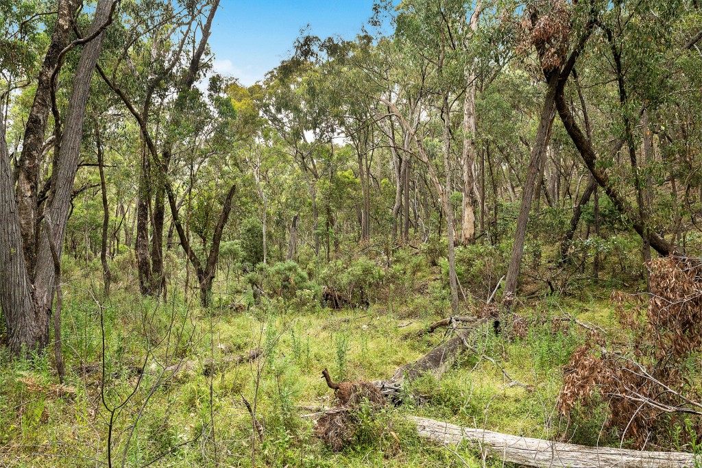 2683 Cargo Road, Cargo NSW 2800 - photo 6